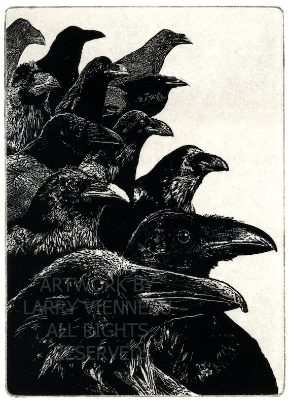 Raven ( raven, crow bird) series- The Jury -  Intaglio etching 5 x 7 inch 2011