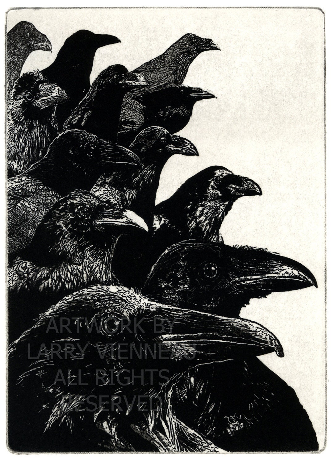Raven ( raven, crow bird) series- The Jury -  Intaglio etching 5 x 7 inch 2011