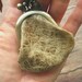 mini purse necklace - rou and hida