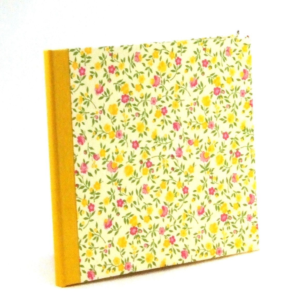 Nauli CD-Cover Rain of yellow and pink flowers