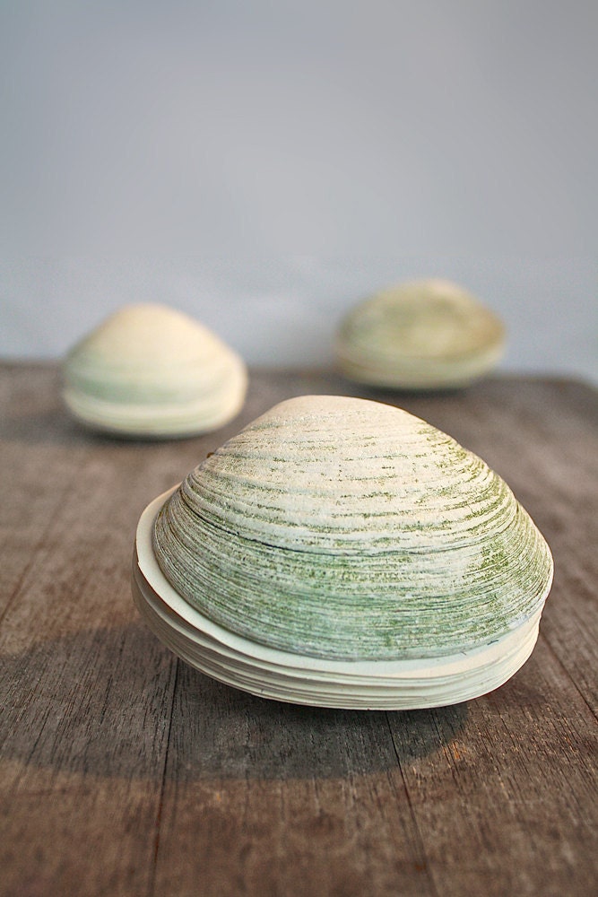 Offering No. 95 - Handstitched Clamshell Book Sculpture