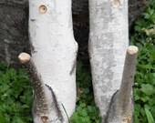 Birch Branch Pair of Rustic Hooks  Woodland Natural Decor