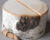 25 Birch Branch Rustic Table Number Holder Country Outdoor Natural Wedding Eco Friendly