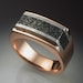 14k Rose Gold Mans Ring with Iron and Chondrite Meteorite