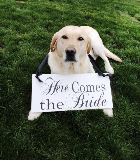 Bridal Wedding Sign. Here Comes the Bride with Just Married. 8 X 16 inches, 2-Sided.  Dog Bearer, Ring Bearer, Flower Girl, Reception Sign.