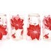 Vintage Red Poinsettia Flower Small Glass Tumblers / Juice Glasses Set of (4)