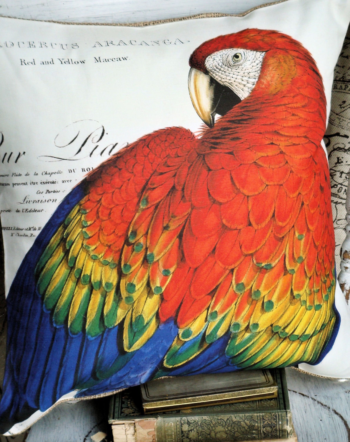 Cotton Pillow Cover Rainbow Maccaw...GORGEOUS