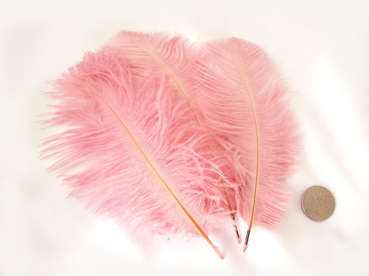 DUSTY ROSE Pink Ostrich Feather Drab.  Pristine D.I.Y. feathers for fascinators, wedding centerpieces, bouquets and millinery (3 Feathers)