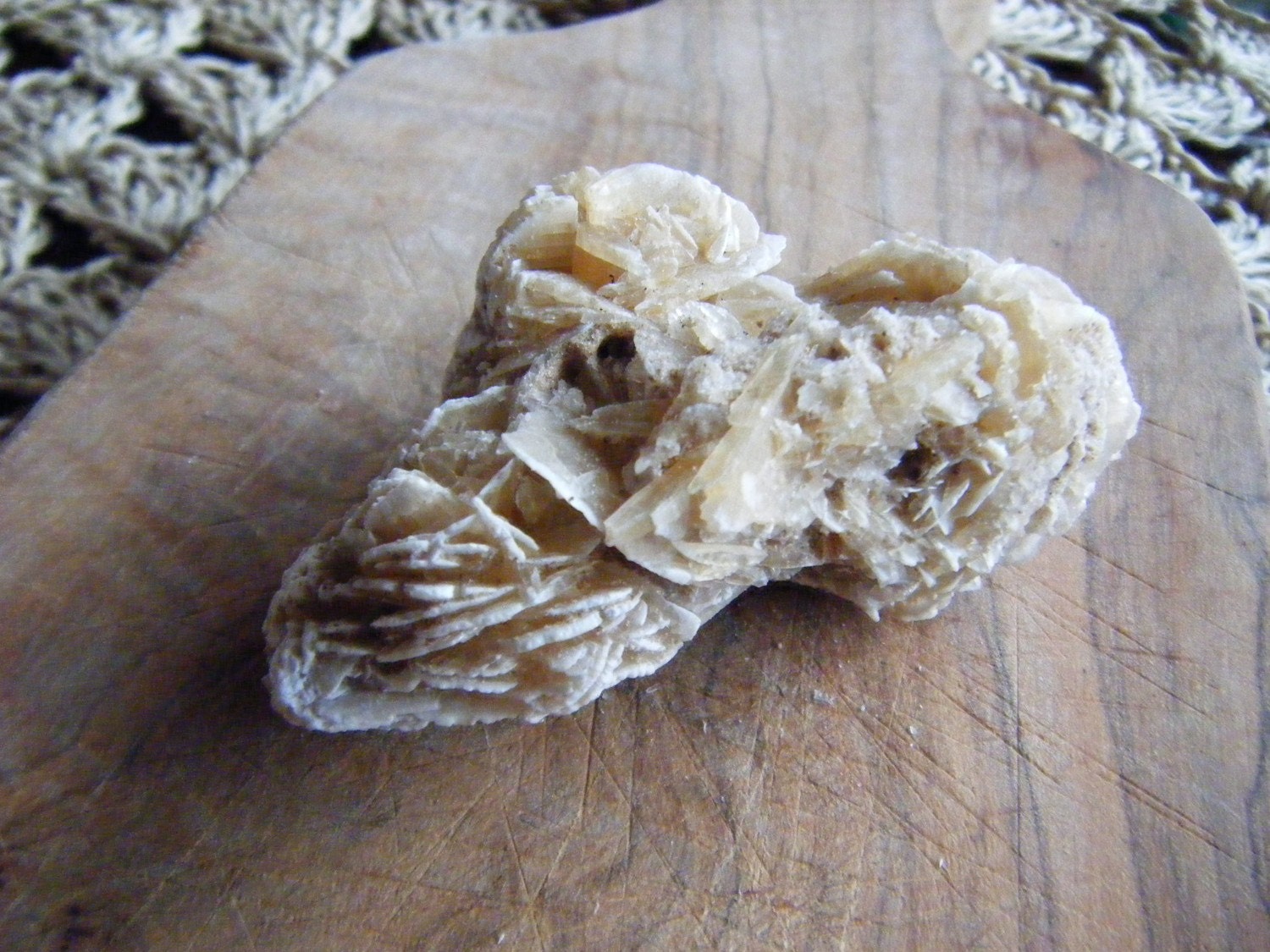 Desert Rose Cluster - small