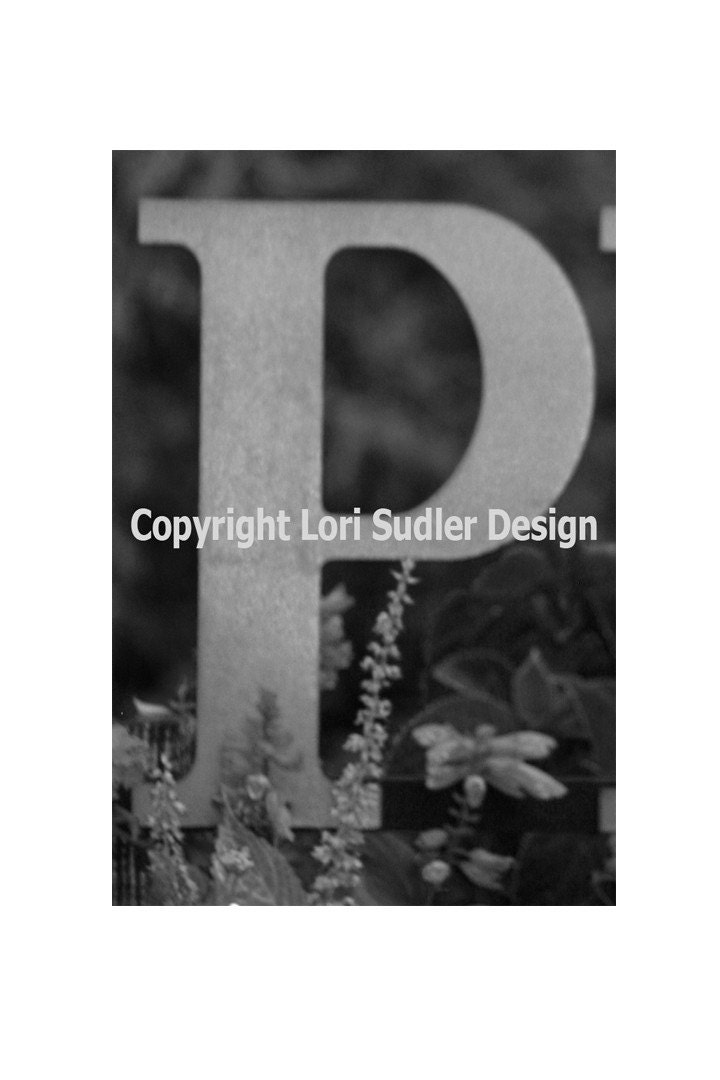 Letter P Spell It Out letter P11