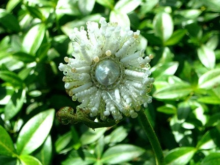 Angel Starburst Ring