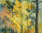 Smith Gilbert Dawn