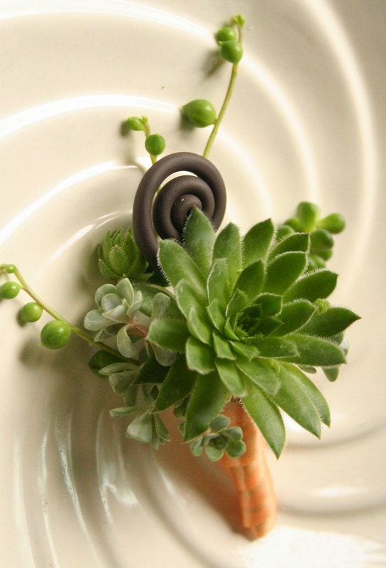 Boutonnieres, succulents and fern shoots