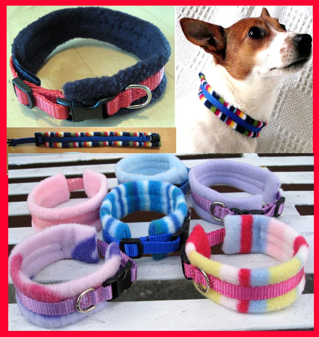 Padded dog collar - puppy / small dog