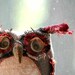 Into-the-Woods Woodland Owl