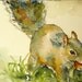 Squirrel Watercolor Art Print by Maure Bausch