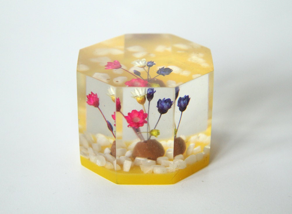 Lucite Polyhedron Paperweight - Dried Flowers