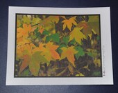 Post Card
