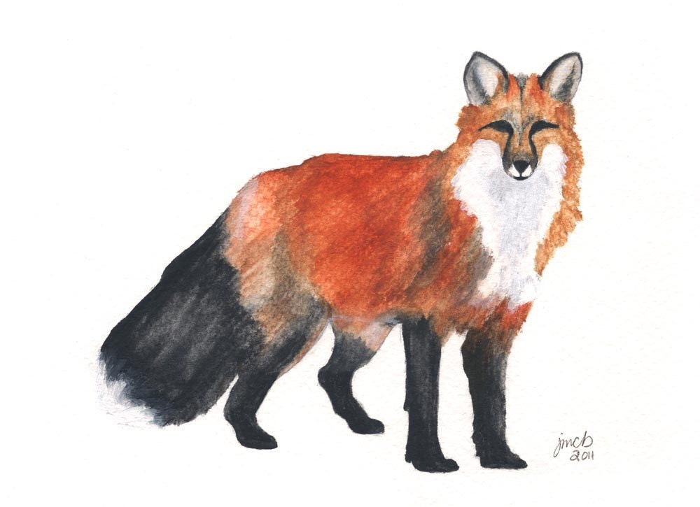 Fox watercolor