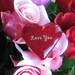 Roses are Red Heart Gift for Enchanting Relationship Enrichment for Everyone