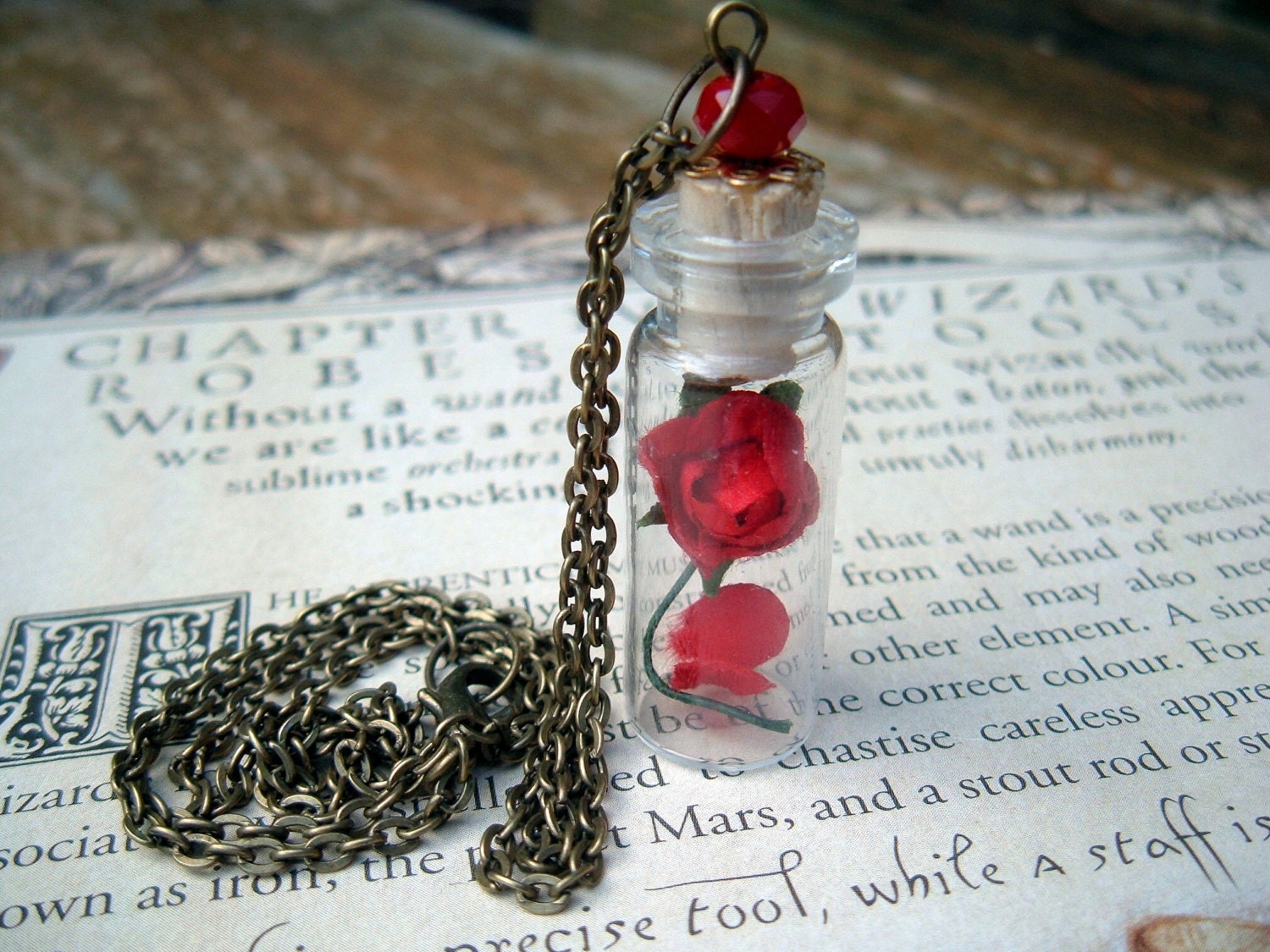 Enchanted Rose Beauty and the Beast Glass Vial Pendant