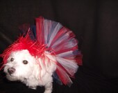 Patriotic Princess....One size fits ALL...