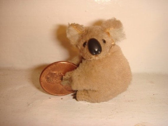 Tiny Koala