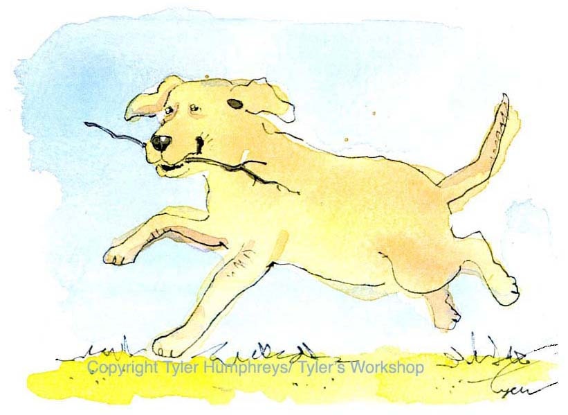 Dog Art, Dog Greeting Card, Labrador Retriever Running Dog Painting Print 'Fetch'