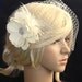 Birdcage veil Blusher and Bridal Fascinator Vintage inspired Russian netting veil hair flower feather - Emily