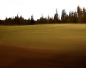 Limited edition 8 x 8 inch fine art Hahnemuhle photograph (landscape 012) amber countryside home decor