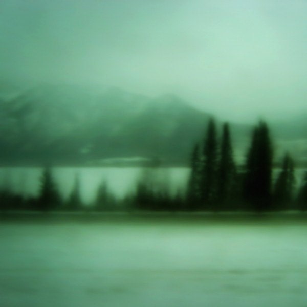 Limited edition 8 x 8 inch fine art Hahnemuhle photograph (turquoise 013) green forest room decor