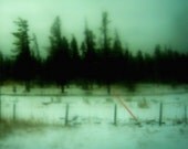 Limited edition 8 x 8 inch fine art Hahnemuhle photograph (turquoise 015) aqua abstract canadian forest home decor