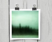 Open edition 5 x 5 inch fine art Hahnemuhle watercolor photograph (turquoise 005) green forest dreamy home decor