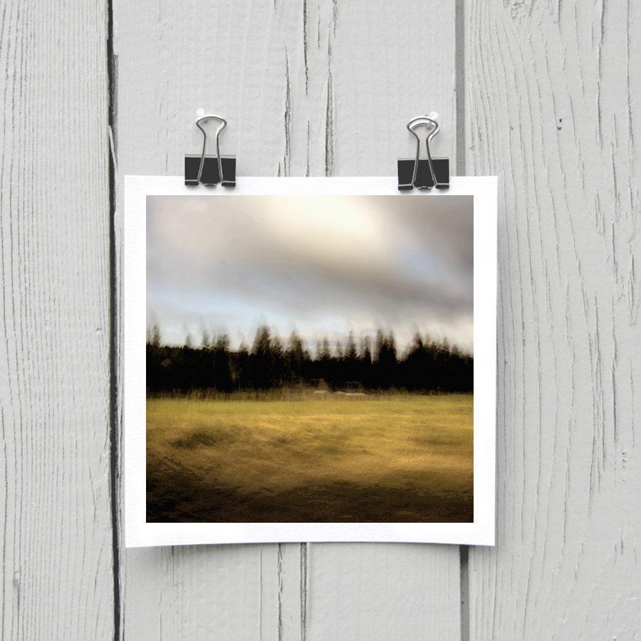Open edition 5 x 5 inch fine art Hahnemuhle photograph (landscape 016) yellow chartreuse canadian harvest home decor