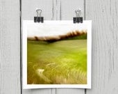 Open edition 5 x 5 inch fine art Hahnemuhle photograph (landscape 028) neon chartreuse wheat field home decor