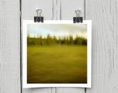 Open edition 5 x 5 inch fine art Hahnemuhle photograph (landscape 015) abstract lime green home decor