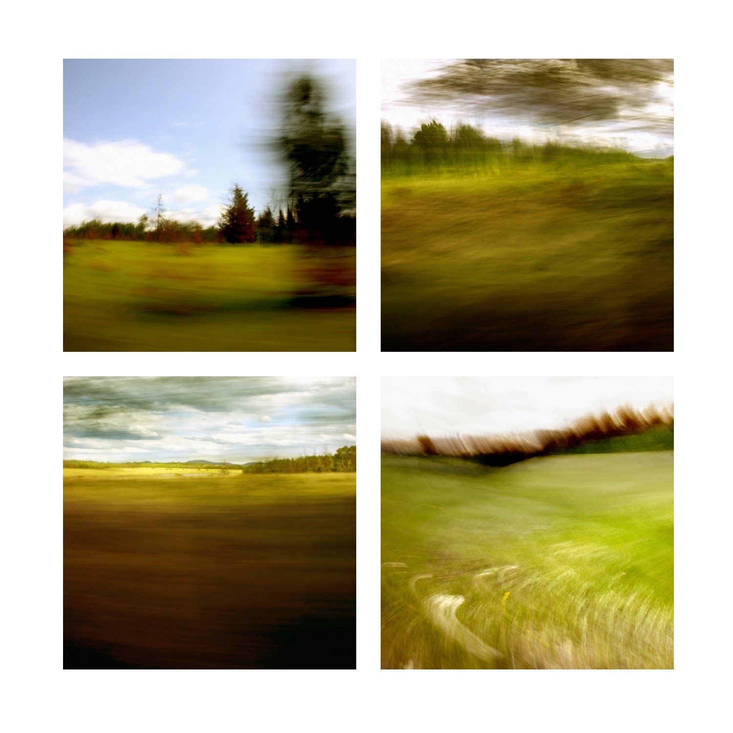 Instant collection of four 5 x 5 inch fine art Hahnemuhle photographs (motion landscape series) chartreuse bohemian woodland home decor