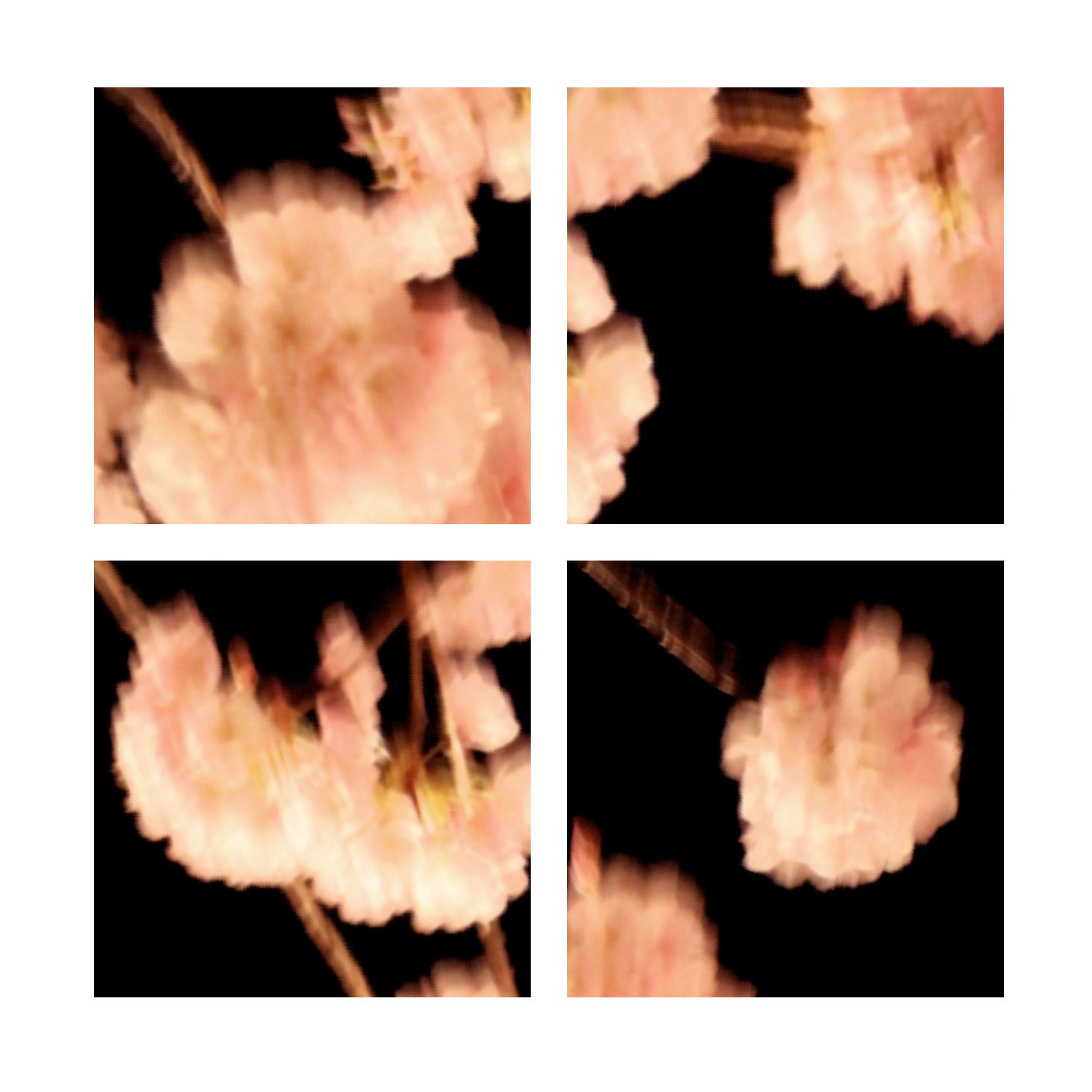 Instant collection of four 5 x 5 inch fine art Hahnemuhle photographs (cherry blossoms series)  abstract pink flowers nursery decor