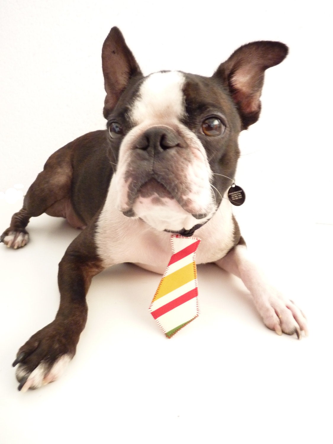 Groovy Vintage Pet Tie --The "Bubba Tie" for Happy Pets Vintage Stripes