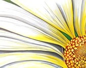 Sunny Daisy 4x10 Fine Art Print by Eriksdotter