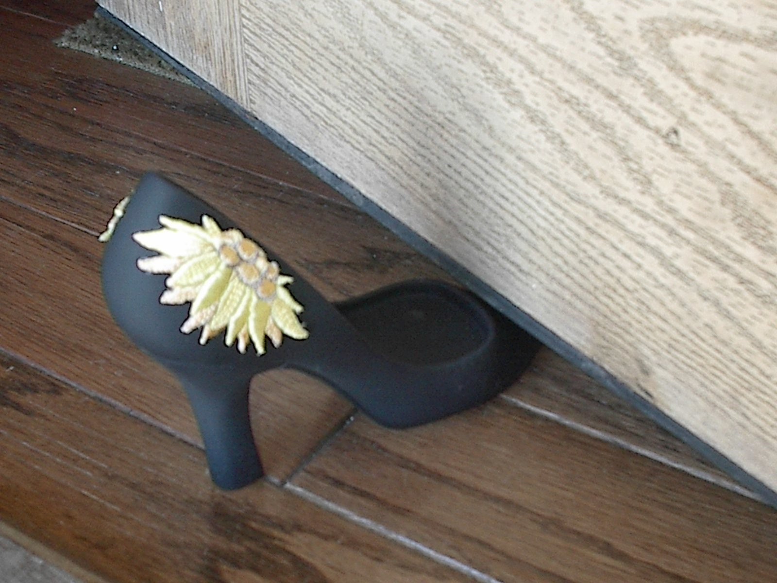 Shoe Door Stop