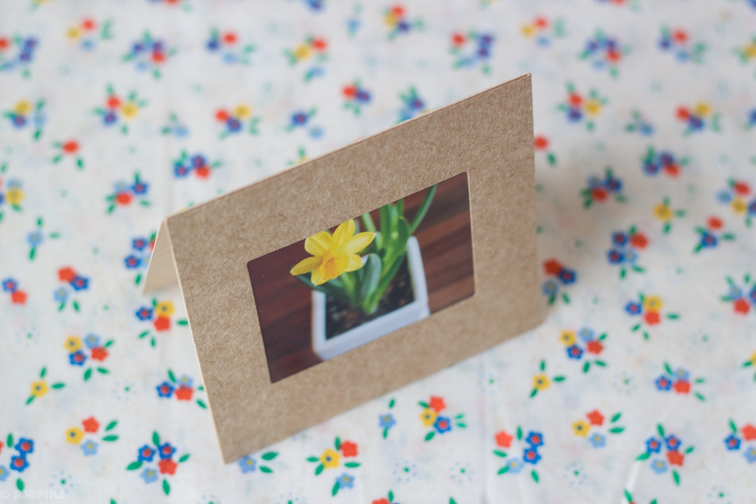 Daffodil mini photo cards - Set of three