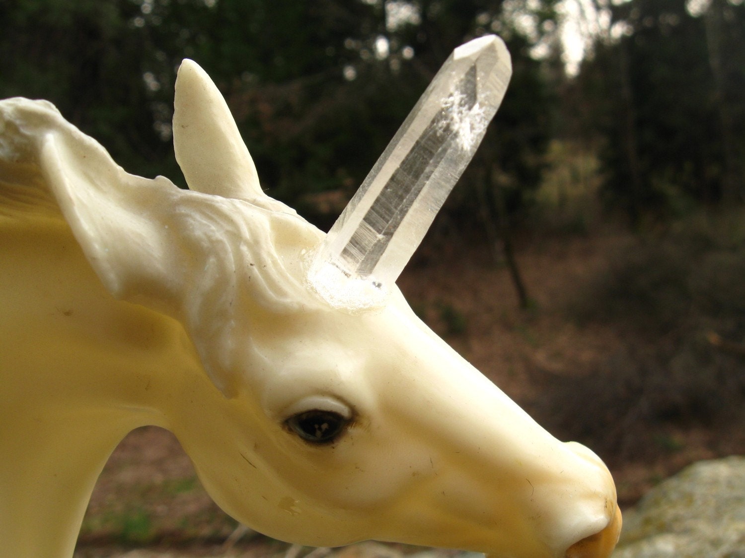 A MAGICAL UNIVERSE Unicorn Crystal Horn Magic Is Real