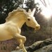 A MAGICAL UNIVERSE Unicorn Crystal Horn Magic Is Real