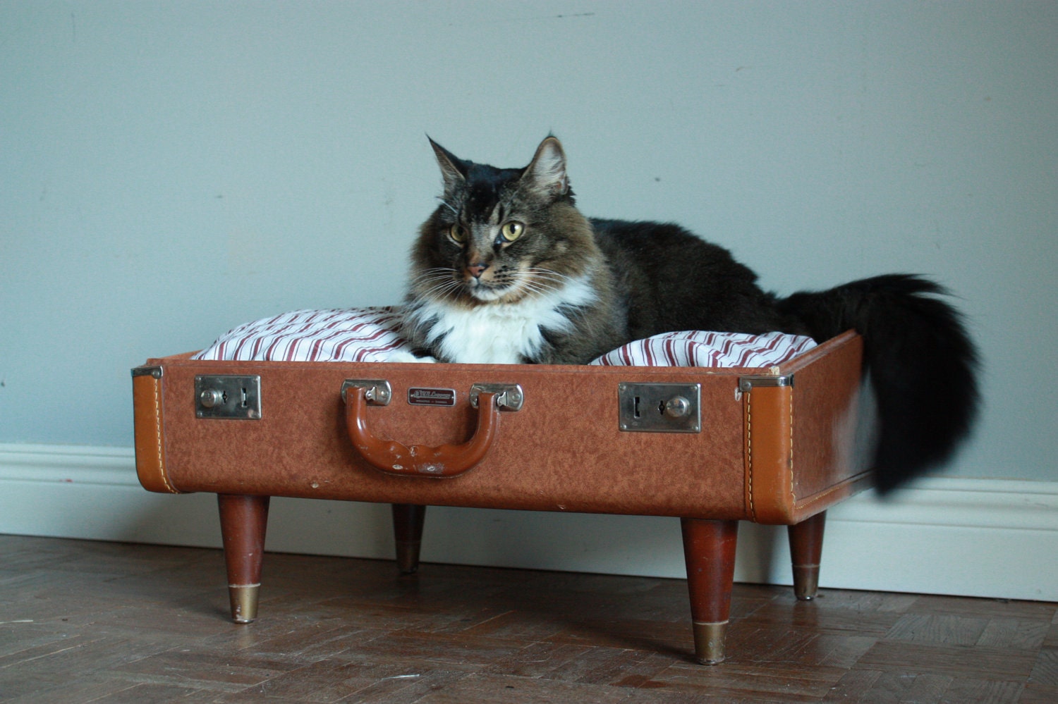 Free Shipping Cozy Cargo Suitcase Pet Bed - Brown and Stripes  - Upcycled Luggage