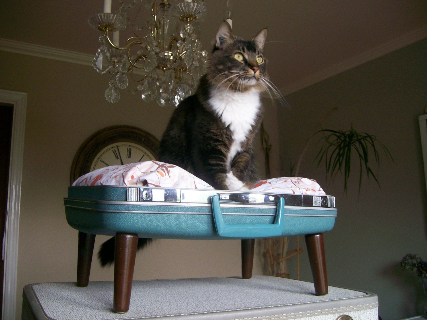 Upcycled Suitcase Pet Bed - Blue and Brown - Eco Earth Friendly
