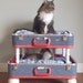 Lovable Luggage Pet Bunk Bed - Upcycled Suitcases, Reclaimed Softballs - 2 dollars goes to TLC CAT RESCUE