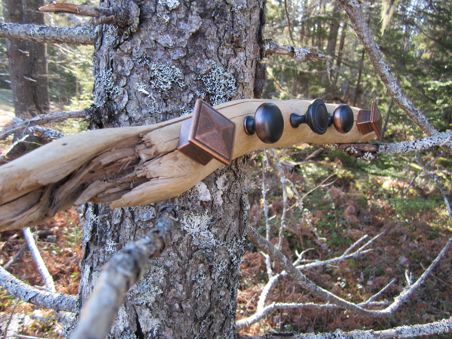 Driftwood Jewelry Holder/Display with Mixed Design Brushed Copper Finish Knobs (Medium)