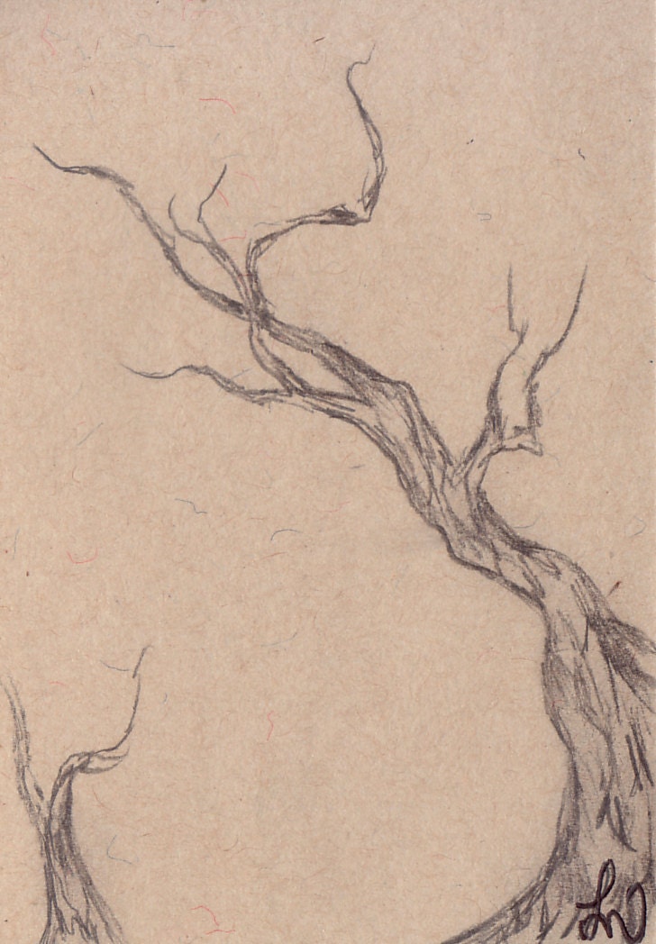 tree top drawing
