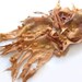 Nuno felted scarf Yellow Savanna shibori autumn fall